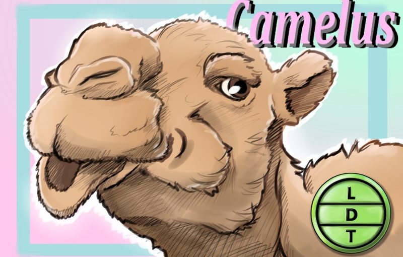 Dromedary Camel Podcast