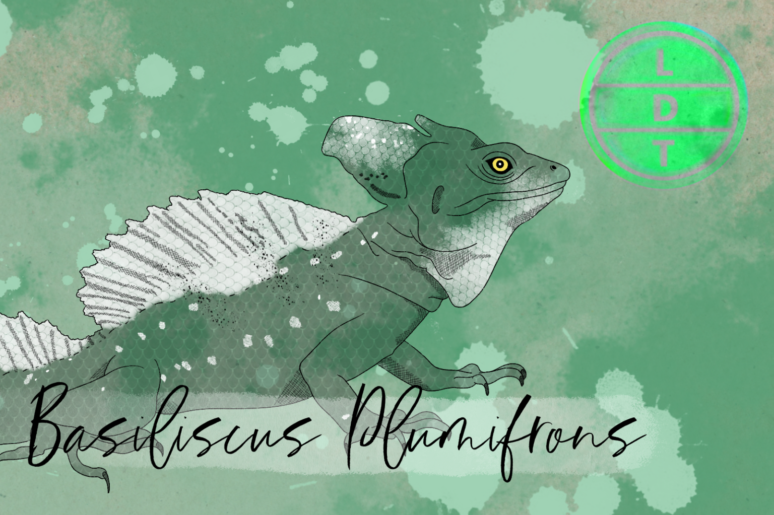 How Does the Basilisk Lizard Run on the Surface of Water?