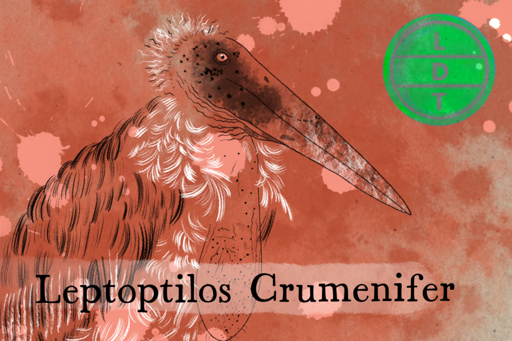 Why is the Marabou Stork the Undertaker of the Savannah?