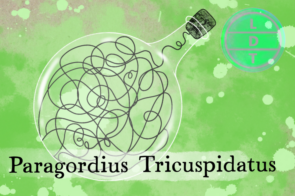 How Does the Horse Hair Worm Make it's Way to it's Hosts?