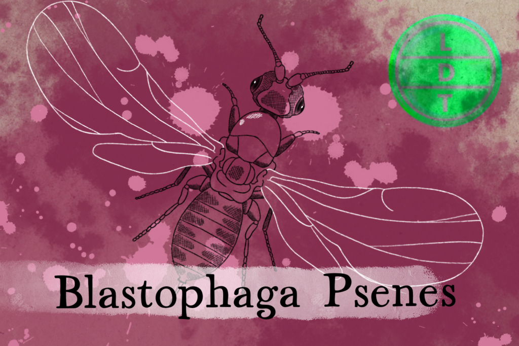 How Do Fig Wasps and Figs Have a Symbiotic Relationship?