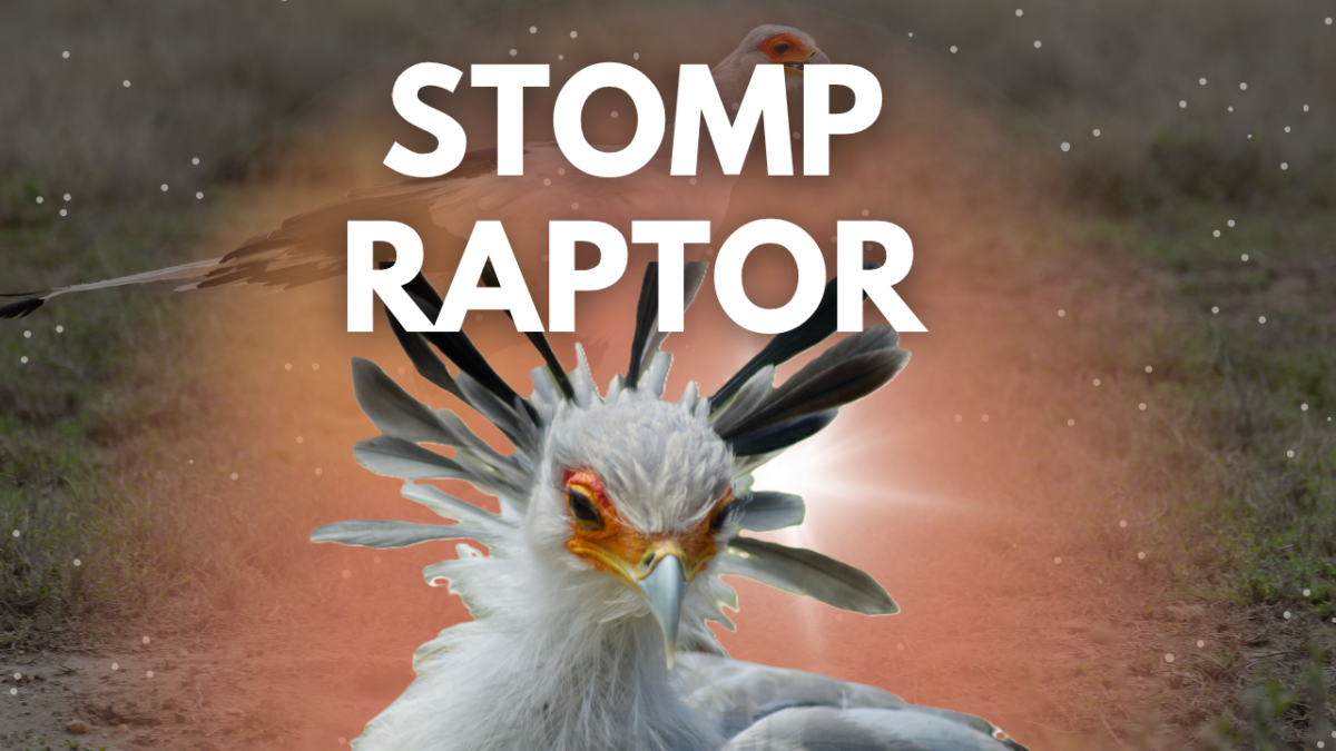 Secretary Bird